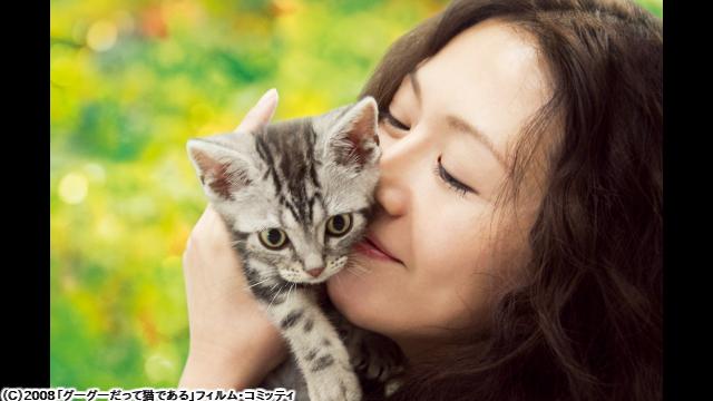 🈙グーグーだって猫である🅍🈑