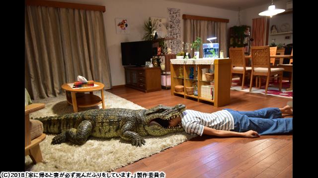 🈙家に帰ると妻が必ず死んだふりをしています。🅍🈑