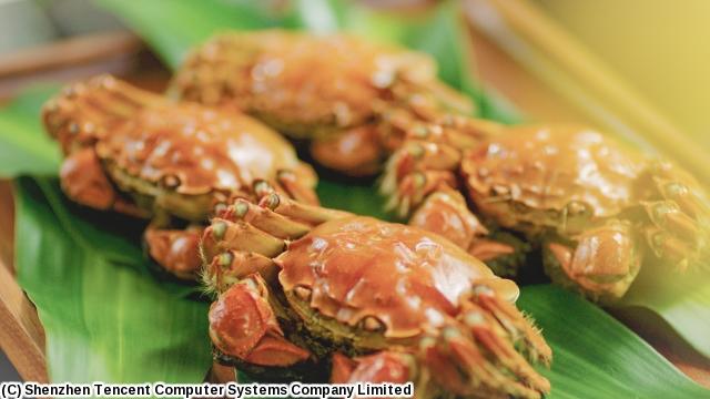 風味巡礼　〜中国から世界を味わう〜　＃１　海の幸、山の幸🈔