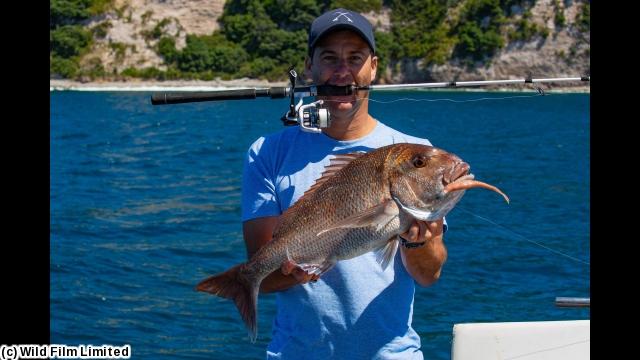 Ｆｉｓｈ　ｏｆ　ｔｈｅ　Ｄａｙ〜南太平洋で釣り三昧〜　＃５（字幕版）