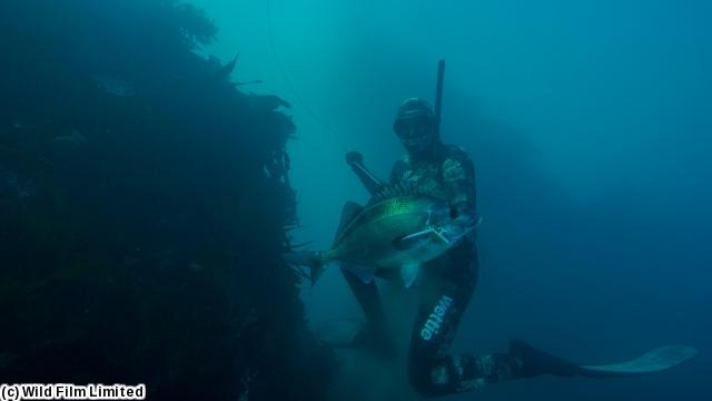 Ｆｉｓｈ　ｏｆ　ｔｈｅ　Ｄａｙ３〜南太平洋で釣り三昧〜　＃５（字幕版）