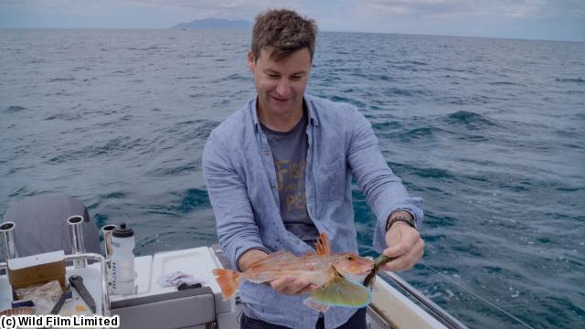 Ｆｉｓｈ　ｏｆ　ｔｈｅ　Ｄａｙ３〜南太平洋で釣り三昧〜　＃６（字幕版）