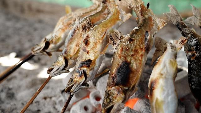 ネイチャーズ・キッチン　＃２　千曲川とあゆ塩焼