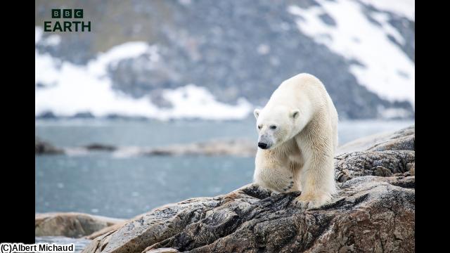 ＢＢＣ　Ｅａｒｔｈ　ワイルド・スカンジナビア〜神話の息づく地へ〜　＃３🈔