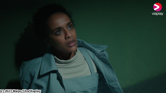 フォートレス／虚構の楽園　＃５　感染拡大（字幕版）