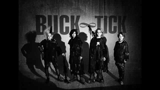 ＢＵＣＫ－ＴＩＣＫ「ナイショの薔薇の下」