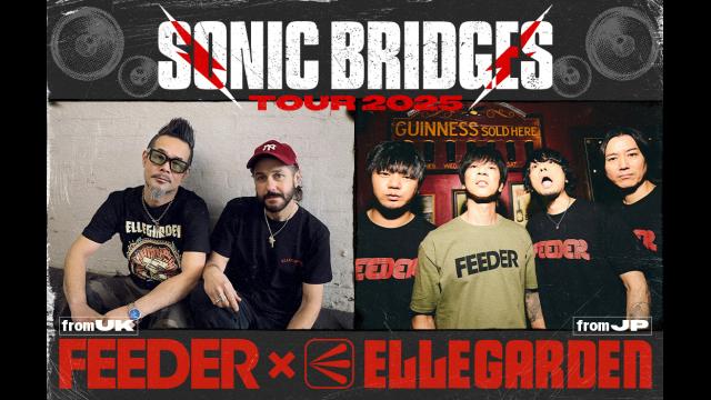 Ｄｏｃｕｍｅｎｔ　ｏｆ　ＦＥＥＤＥＲ　ｘ　ＥＬＬＥＧＡＲＤＥＮ　Ｓｏｎｉｃ　Ｂ…