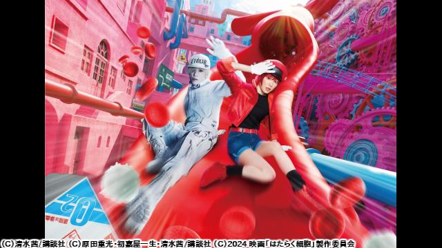 🈙はたらく細胞🅍🈑