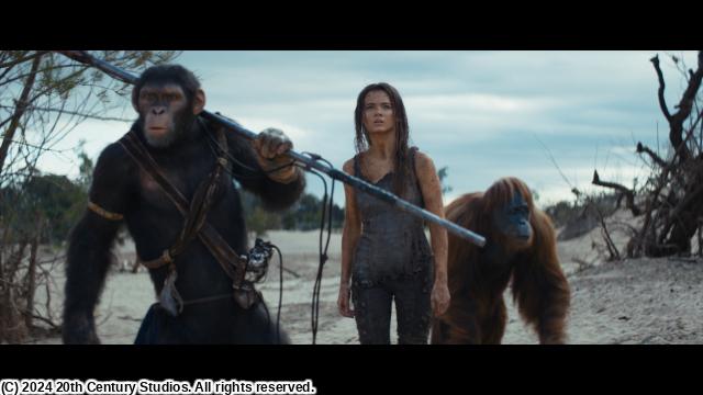 🈙猿の惑星／キングダム（吹替版）🅍🈑