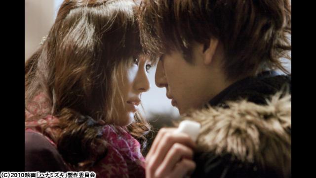 🈙ハナミズキ🅍🈑