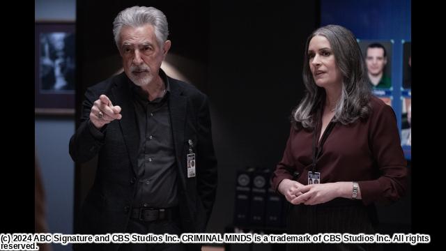 🈚クリミナル・マインド１７　＃１　ゴールドスター🈔🈑