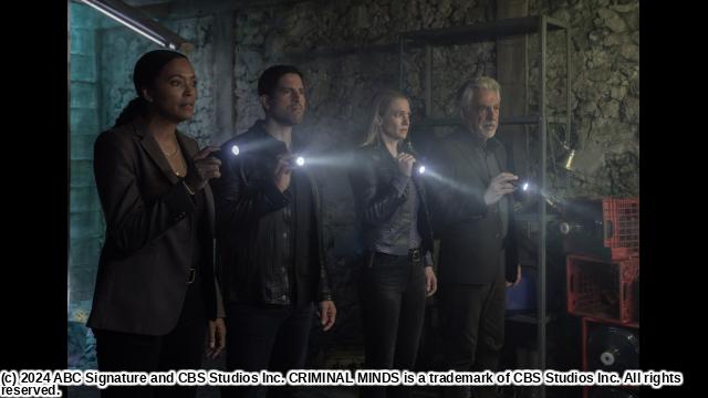 クリミナル・マインド１７　＃９　スターズ＆ストライプス🈔🈑