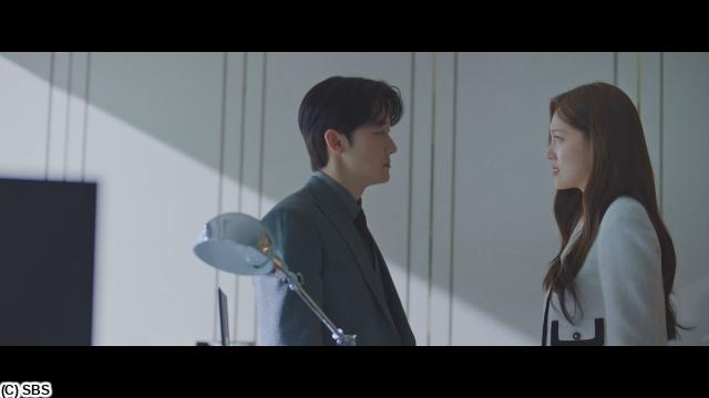 チャン・ナラ主演「グッド・パートナー」　＃７　母という名で（字幕版）