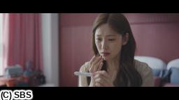 チャン・ナラ主演「グッド・パートナー」　＃８　こうして父となる（字幕版）