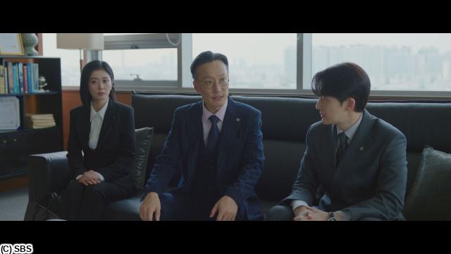 🈠チャン・ナラ主演「グッド・パートナー」　＃１２（字幕版）