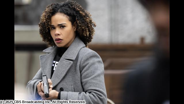 ＦＢＩ：ＭｏｓｔＷａｎｔｅｄ６指名手配特捜班＜最終章＞　＃１６（字幕版）