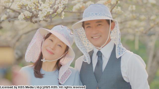 🈠韓国ホームドラマ「トクスリ５兄弟をよろしく！」　＃２４　「…（字幕版）