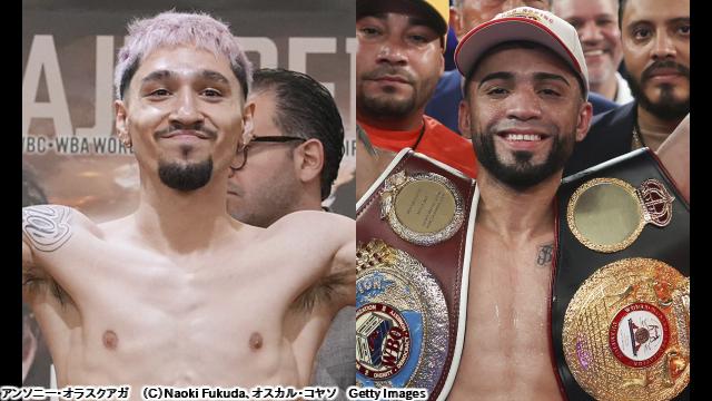 エキサイトマッチ　＃３０　ＷＢＯ世界フライ級ＴＭ　オラスクアガｖｓカマチョ