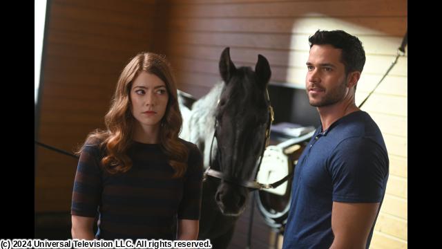 🈠マーサー教授の殺人事件簿２　＃１３　凶器の馬🈔🈑