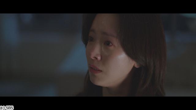 🈠ハン・ジミン×イ・ジュニョク「わたしの完璧な秘書」　＃１０…（字幕版）