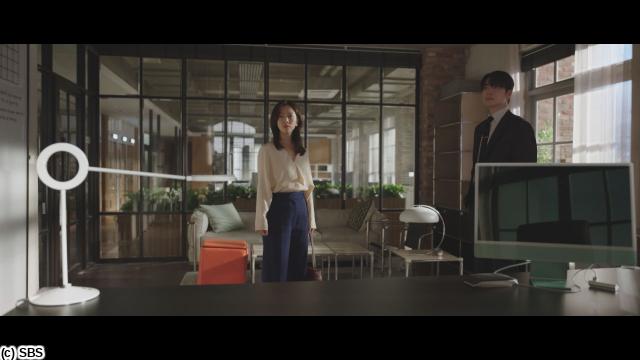 🈠ハン・ジミン×イ・ジュニョク「わたしの完璧な秘書」　…（字幕版）🈡