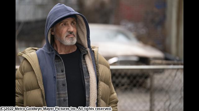 🈙サマリタン（字幕版）🅍