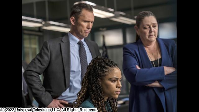 🈠ＬＡＷ　＆　ＯＲＤＥＲ　新章　＃３　インフルエンサーの悲劇🈔🈑