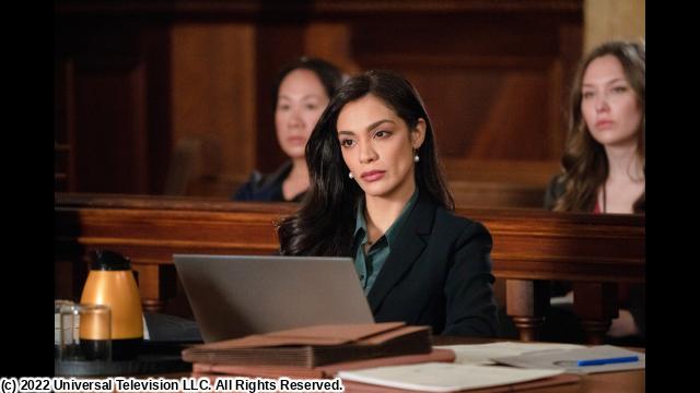 ＬＡＷ　＆　ＯＲＤＥＲ　新章　＃８　解雇手当（字幕版）