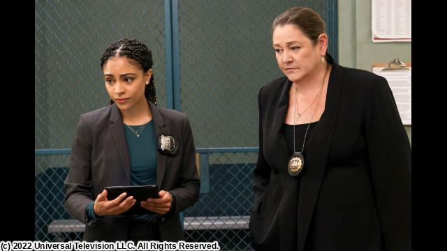 ＬＡＷ　＆　ＯＲＤＥＲ　新章　＃９　虚飾の果て（字幕版）
