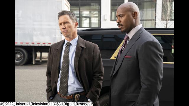 ＬＡＷ　＆　ＯＲＤＥＲ　新章　シーズン２　＃１４（字幕版）