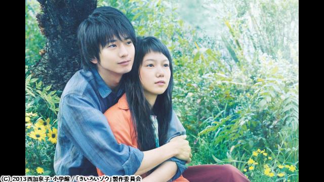 🈙きいろいゾウ🅍🈑