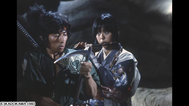 🈙里見八犬伝（１９８３）🅍🈑