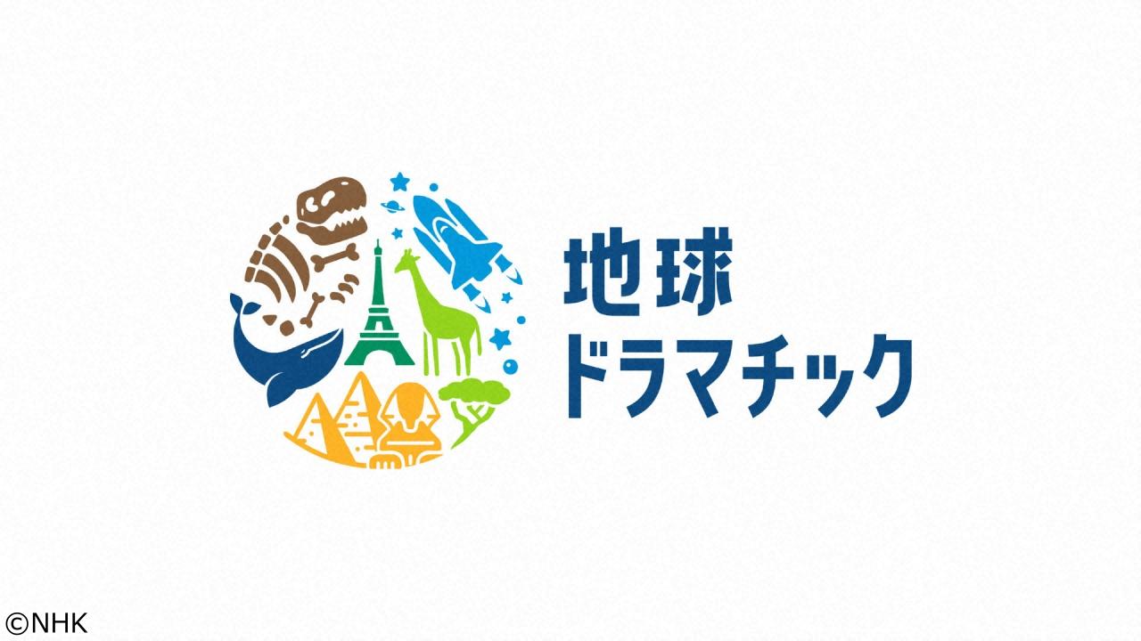 地球ドラマチック　選　狩る者と狩られる者　動物たち宿命の戦い🈔🈑