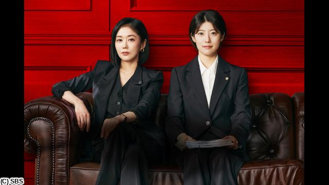 🈠チャン・ナラ主演「グッド・パートナー」　＃３（字幕版）