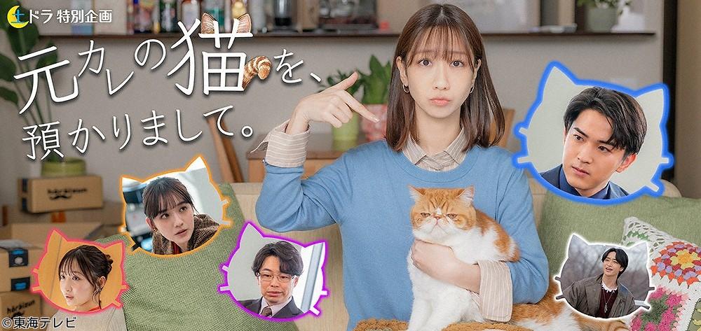 土ドラ特別企画・元カレの猫を、預かりまして。【もふもふラブコメディ】　＃０１🈑