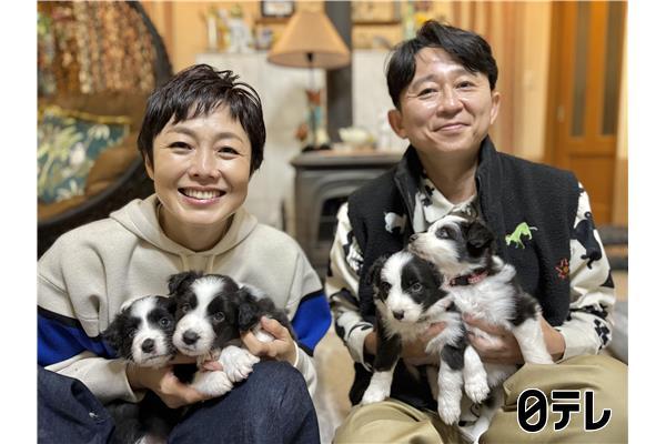 嗚呼‼みんなの動物園4時間SP🈑▽池崎×保護猫ついに最終回！有吉×赤ちゃん犬