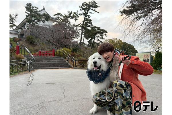 笑ってコラえて🈑ジェシーがワンワンの旅参戦！大型犬と全力疾走⁉冬の小田原グルメ旅
