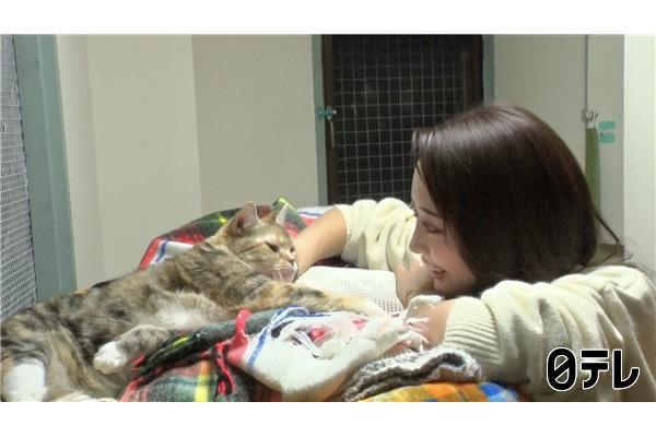 嗚呼‼みんなの動物園🈑保護猫マスターみりちゃむ 預かり新シリーズスタート！