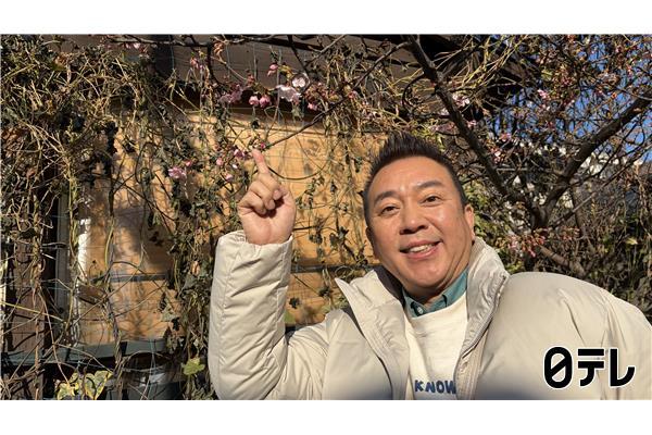 ぶらり途中下車の旅🈖🈑世界一小さい？チョコレート工場＆鎌倉のチーズ工房レストラン