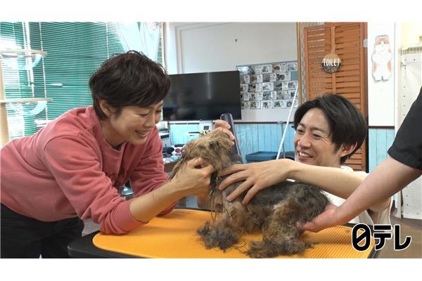 嗚呼‼みんなの動物園３時間ＳＰ🈑池崎保護猫新章スタート＆７２匹の現場でレスキュー