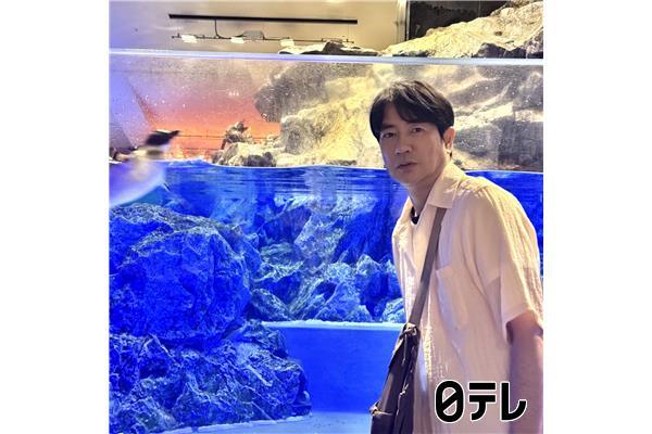 ぶらり途中下車の旅🈖🈑豪快！ジューシー鶏の丸焼き＆泳ぎ練習中！ペンギンの赤ちゃん