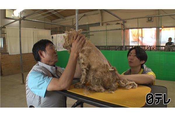 嗚呼‼みんなの動物園２時間ＳＰ🈑相葉トリミングに森保監督&青木マッチョ新預かり