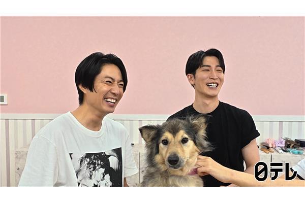 嗚呼‼みんなの動物園２時間ＳＰ🈑ビビり＆シャー猫急成長＆Snow Man参戦SP