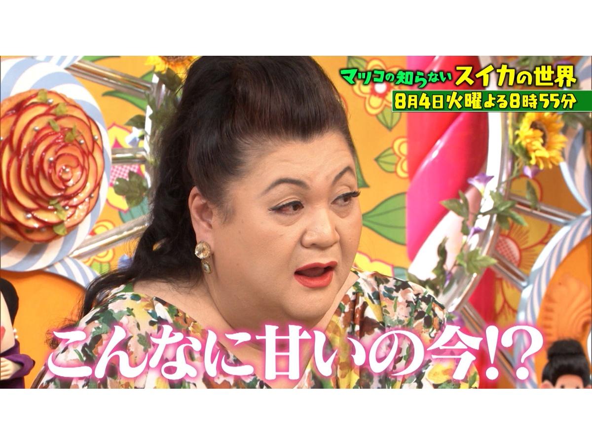 マツコの知らない世界 常識が変わる！最新スイカ&若い世代に大人気！スクイーズ